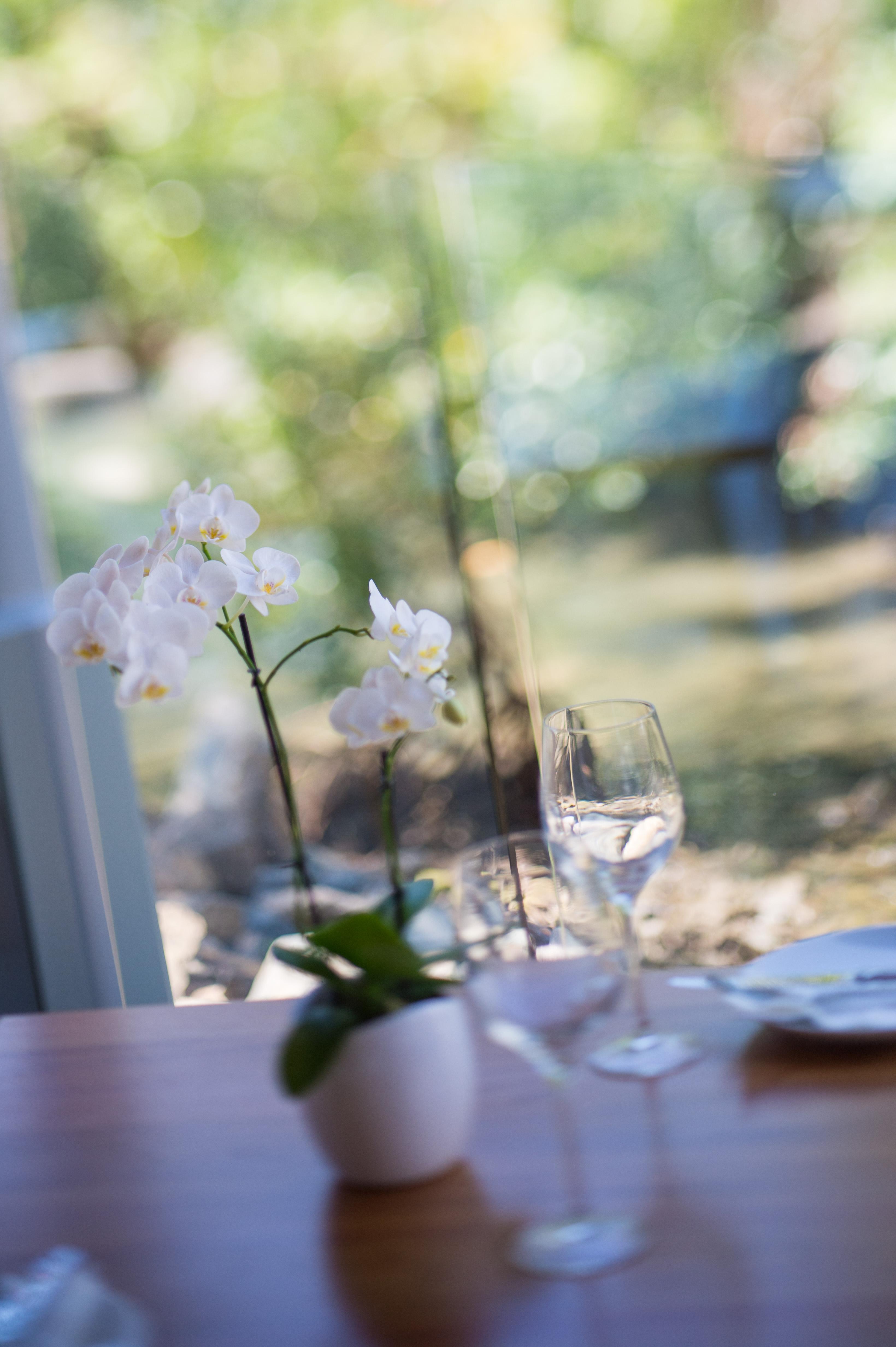 Heart Hotel And Gallery Whitsundays Airlie Beach Eksteriør bilde