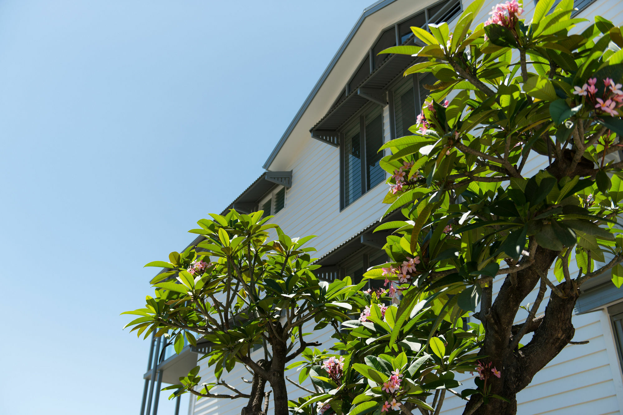 Heart Hotel And Gallery Whitsundays Airlie Beach Eksteriør bilde