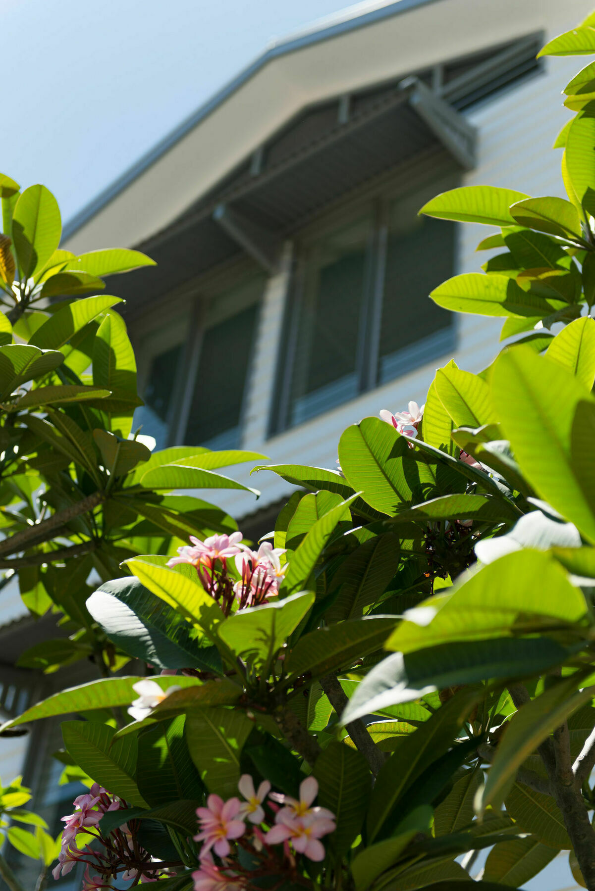 Heart Hotel And Gallery Whitsundays Airlie Beach Eksteriør bilde