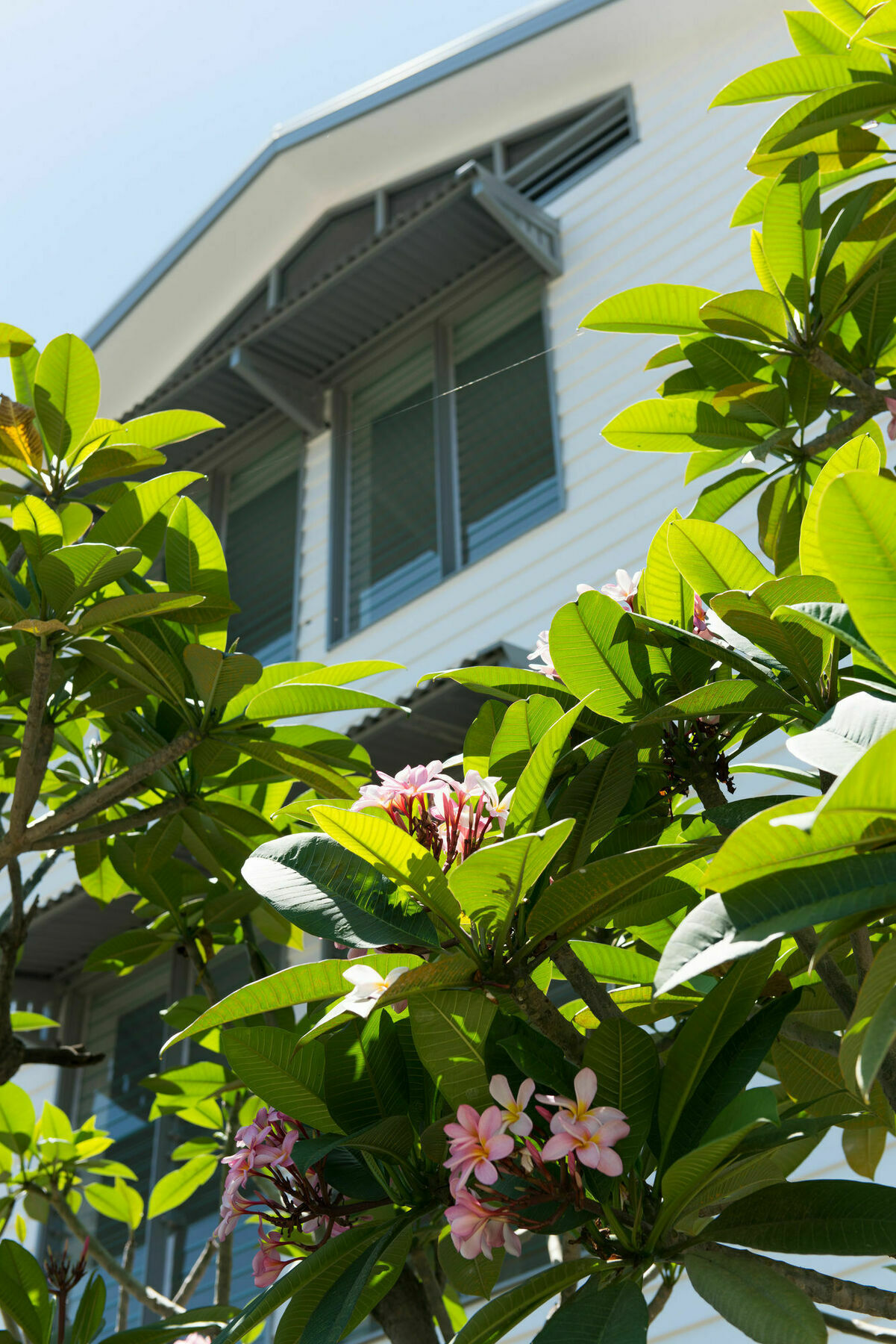 Heart Hotel And Gallery Whitsundays Airlie Beach Eksteriør bilde